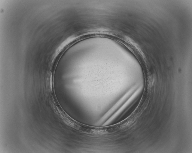 X0000085021320200703191131