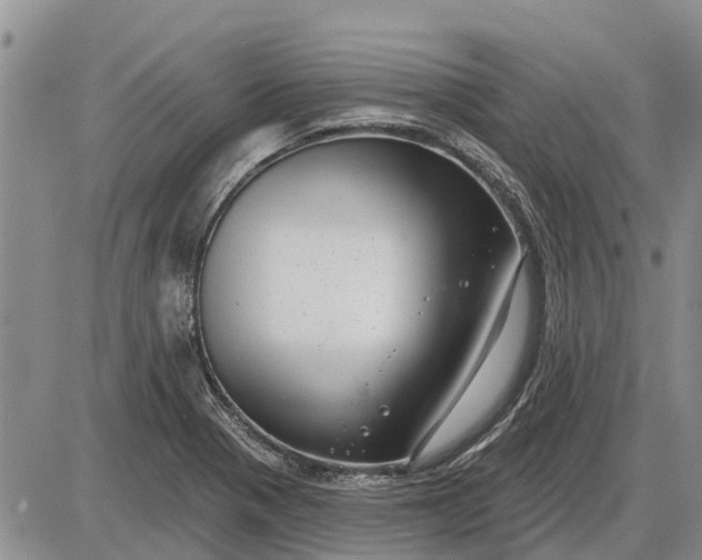 X0000085021321200703191131