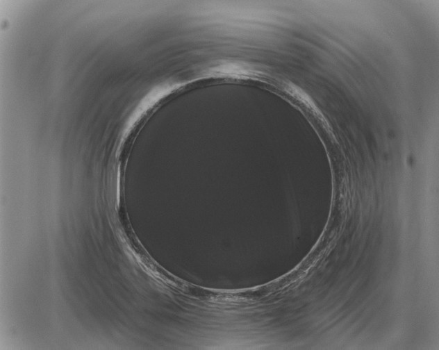X0000085021323200703191131
