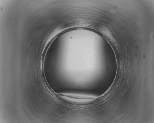 X0000085021324200703191131