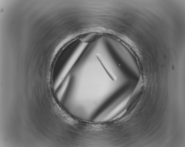 X0000085021326200703191131