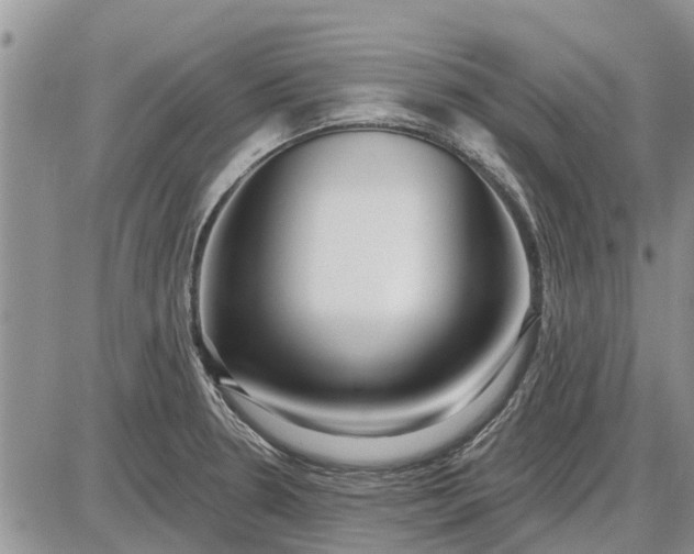 X0000085021330200703191131