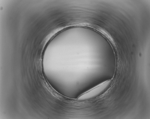 X0000085021332200703191131