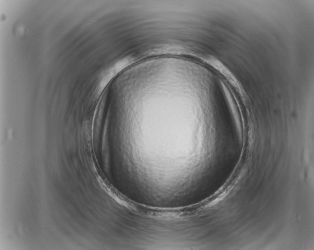 X0000085021337200703191131
