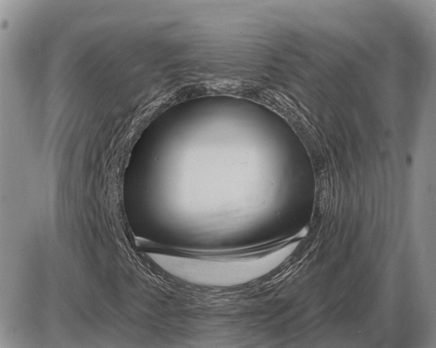 X0000085021345200703191131