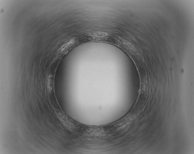 X0000085021346200703191131