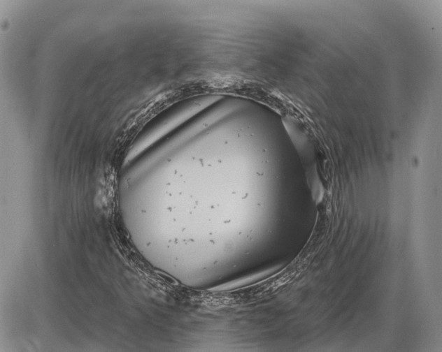 X0000085021349200703191131