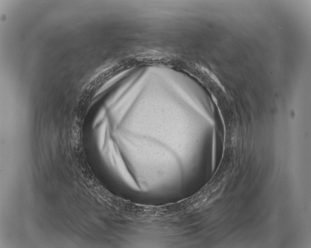 X0000085021350200703191130