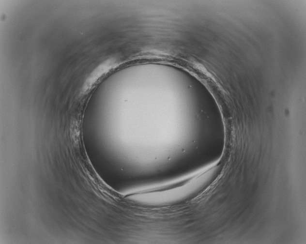 X0000085021355200703191130