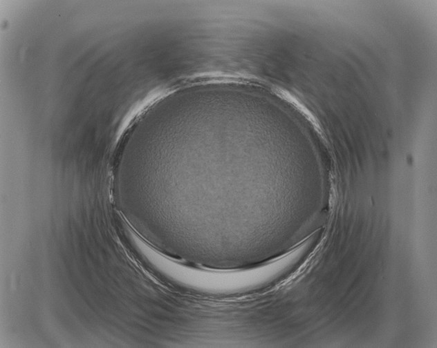 X0000085021357200703191130
