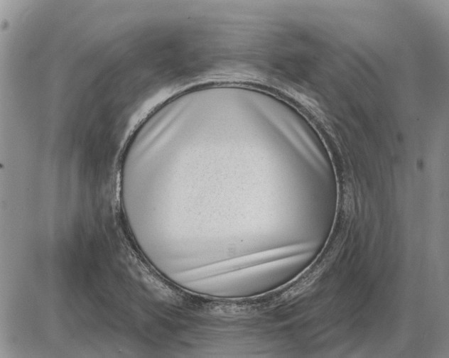 X0000085021366200703191130