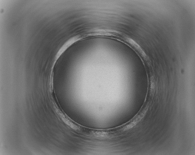 X0000085021370200703191130