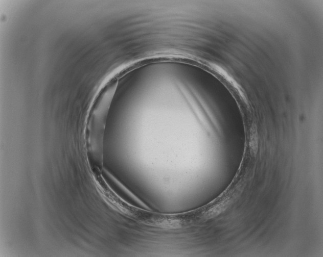X0000085021372200703191130