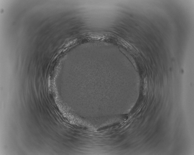 X0000085021394200703191129