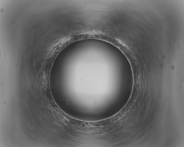 X0000085021398200703191129