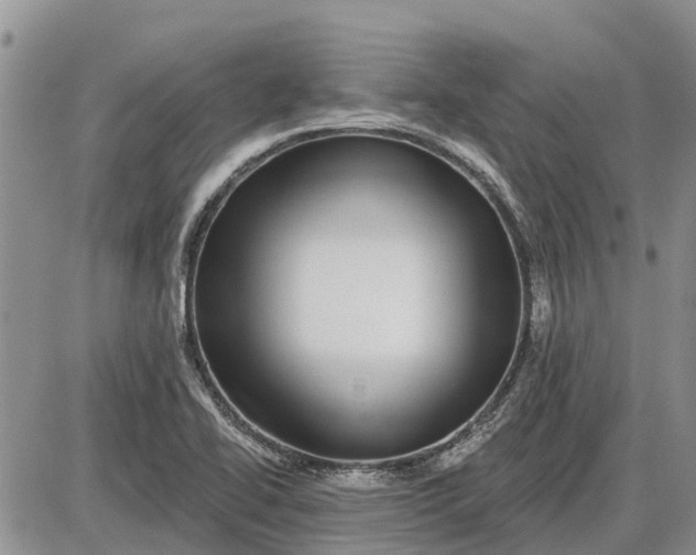 X0000085021414200703191129