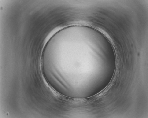 X0000085021440200703191130