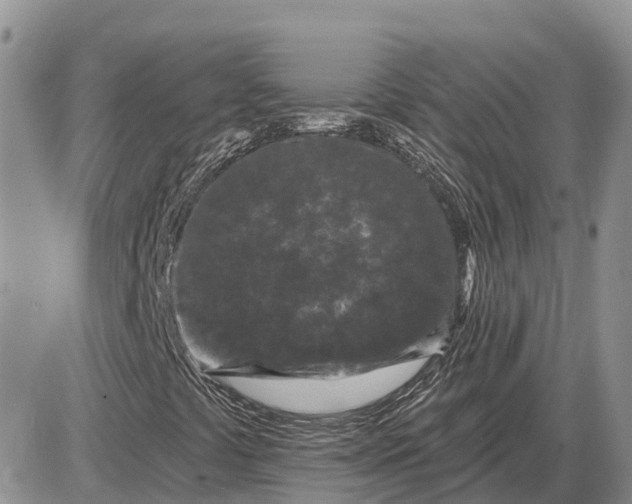 X0000085021441200703191129