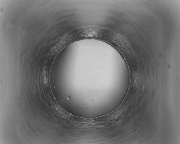 X0000085021442200703191129
