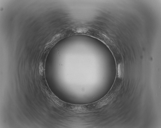 X0000085021443200703191129