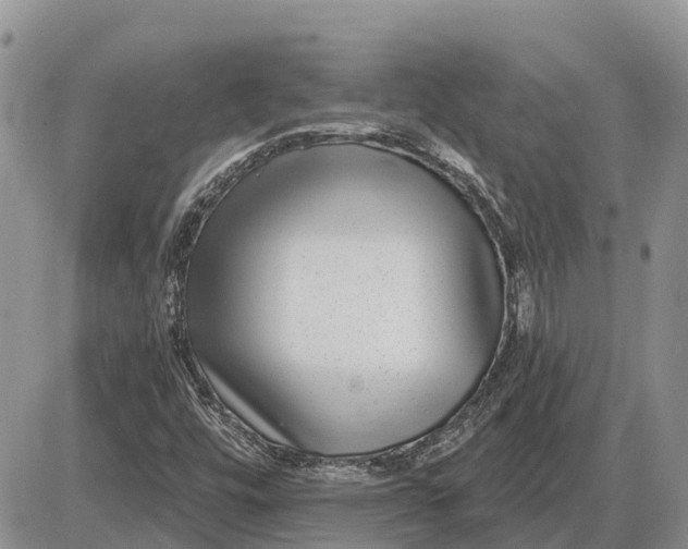 X0000085021448200703191129