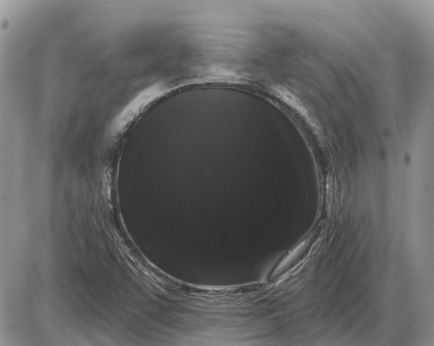 X0000085021455200703191129