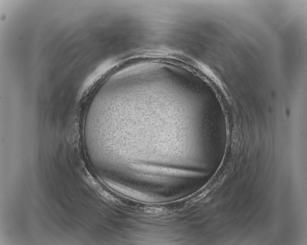 X0000085021456200703191129