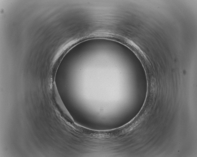 X0000085021461200703191129
