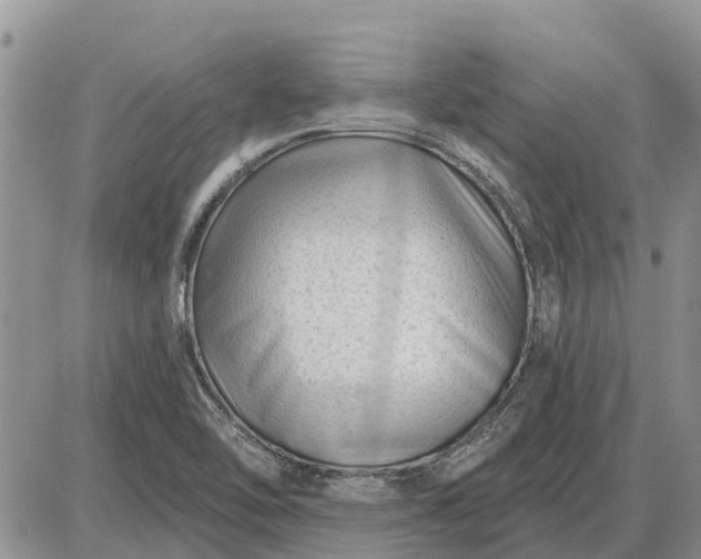 X0000085021462200703191129
