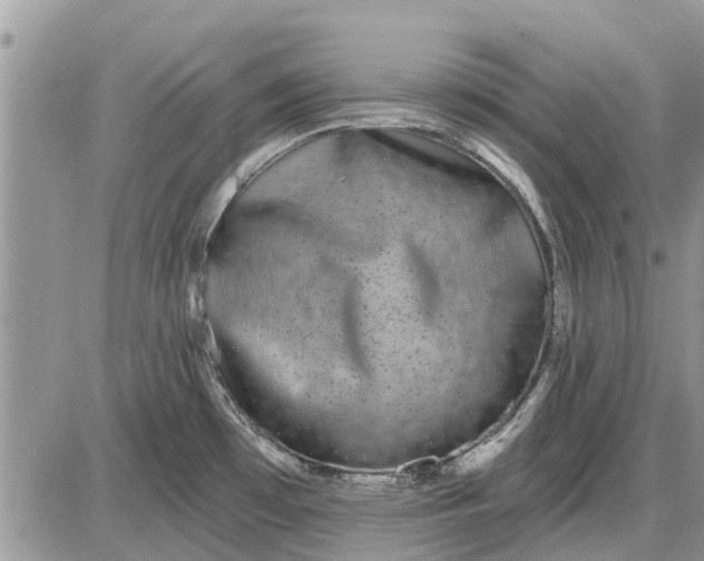 X0000085021481200703191128