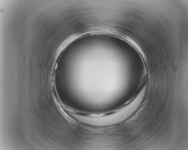 X0000085021485200703191128