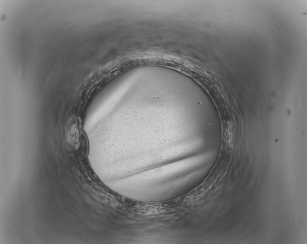 X0000085021493200703191127