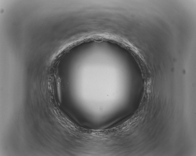 X0000085021496200703191127