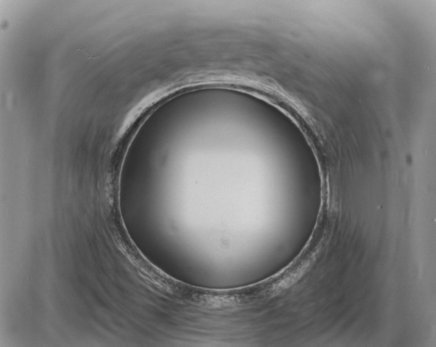 X0000085021501200703191128