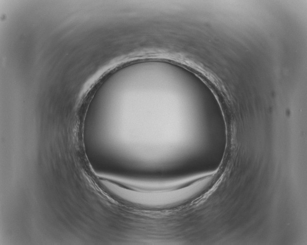 X0000085021502200703191128