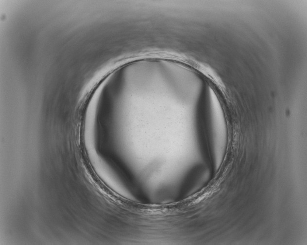X0000085021504200703191128