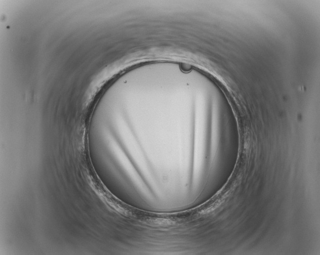 X0000085021507200703191128