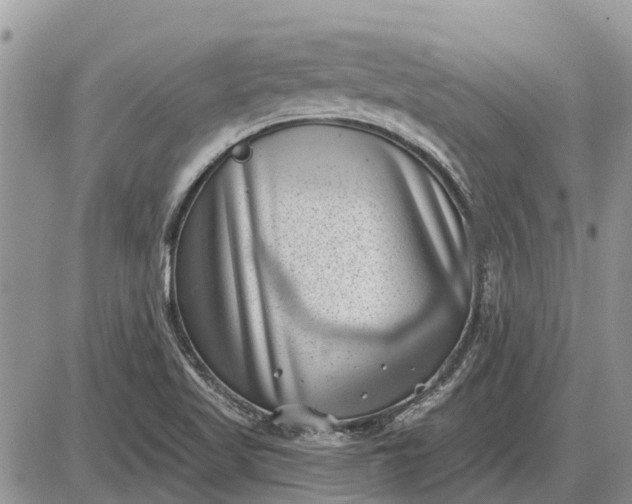 X0000085021509200703191128