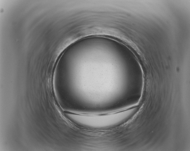 X0000085021513200703191128