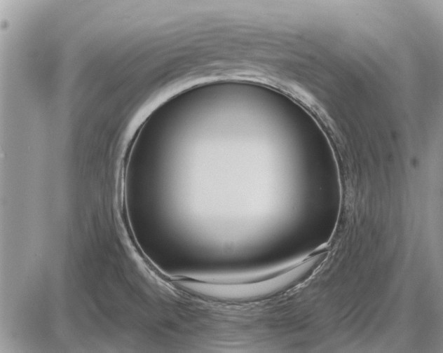 X0000085021520200703191128