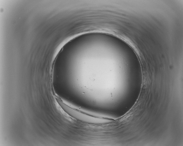 X0000085021532200703191128