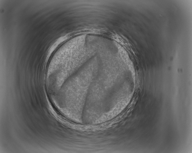 X0000085020003200703261232