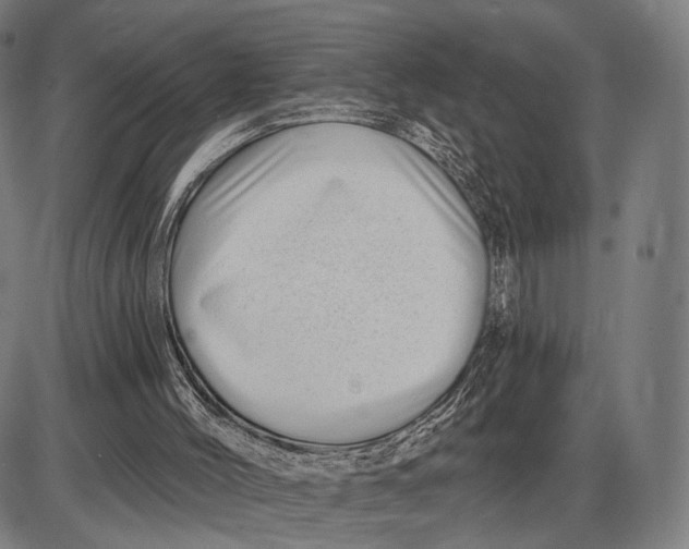 X0000085020004200703261232