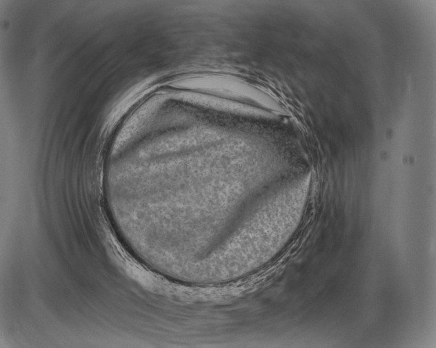 X0000085020005200703261232