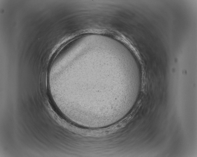 X0000085020011200703261232