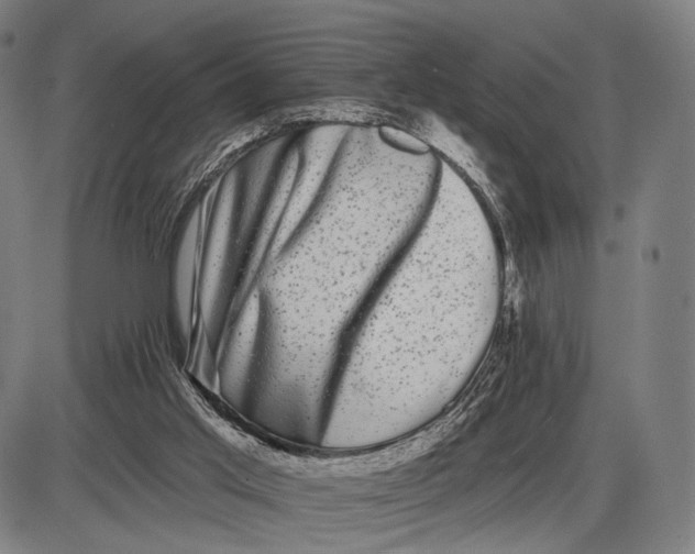 X0000085020013200703261232