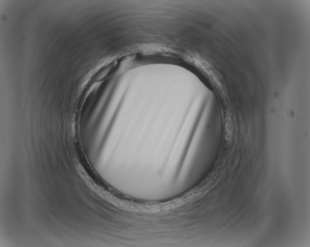 X0000085020015200703261232