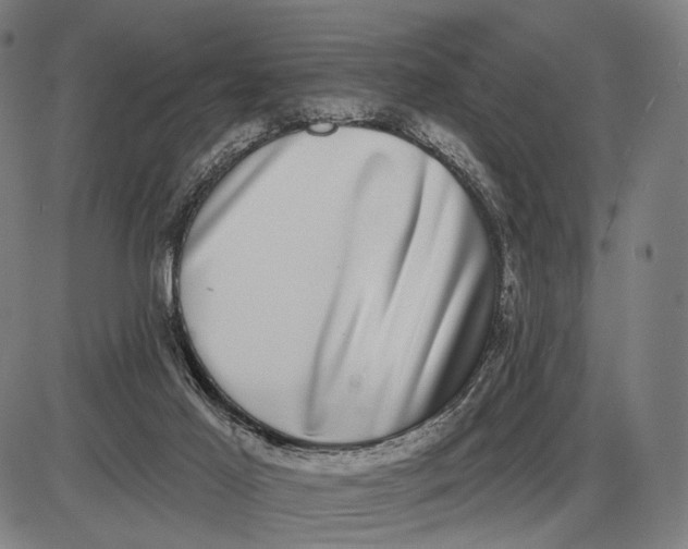 X0000085020021200703261232