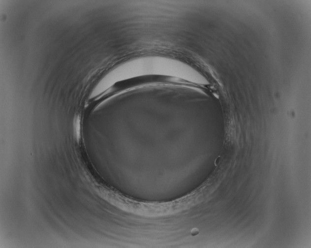X0000085020027200703261232