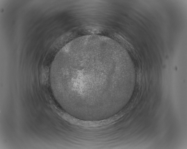 X0000085020030200703261232